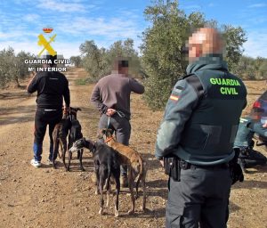 Investigadas tres personas por caza furtiva con galgos en Llerena