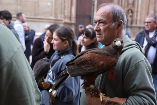 Multitud de mascotas y animales cumplen con la tradición en las populares 'beneïdes' por Sant Antoni en Palma
