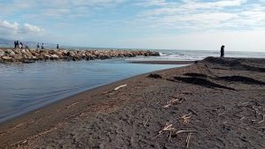 La Junta realiza trabajos en la desembocadura del Guadalhorce ante la aparición de peces muertos