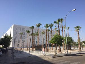 Piden hasta siete años y medio de cárcel para un varón acusado de matar a cinco podencos