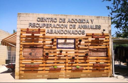 La protectora 'La Camada' presenta la única oferta para gestionar el centro de acogida de animales de Guadalajara