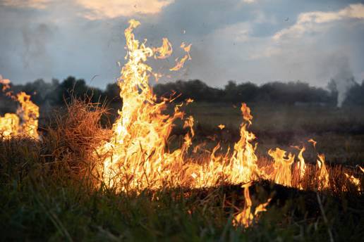 Un incendio obliga a evacuar a los animales de una cuadra en O Corgo (Lugo)