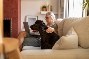 ¿Qué programas prefieren ver los perros en televisión?