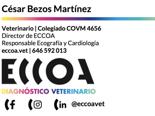 Caso: ecocardiografía de un gato común europeo de 8 meses, asintomático, al que se le había detectado un soplo en una visita rutinaria.