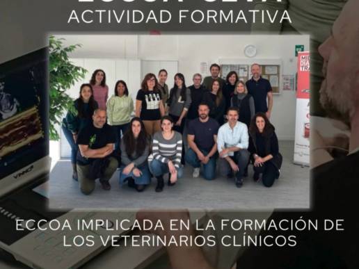 ¡Una formación innovadora en cardiología felina de la mano de Ceva Salud Animal!