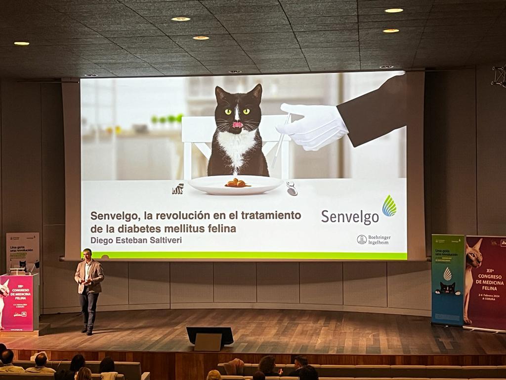 Boehringer Ingelheim presenta su revolucionario tratamiento contra la diabetes felina, SENVELGO®, ante más de 300 veterinarios, en el marco del XII congreso GEMFE sobre medicina felina celebrado en A Coruña.