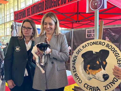 Ifeca vuelve a acoger las exposiciones caninas nacional e internacional con 1.500 perros de 120 razas a concurso