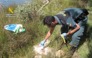 Investigan a un hombre por arrojar cinco crías de mastín al embalse de Valparaíso en Zamora