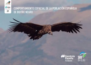 Investigadores de la UA realizan una monografía sobre los movimientos de la población española de buitre negro