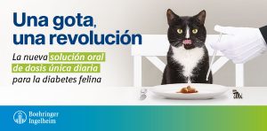 Senvelgo®, la revolucionaria solución para el manejo de la diabetes felina, ya está disponible para los Veterinarios