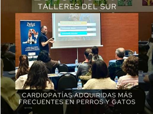 ECCOA Diagnóstico Veterinario, de la mano de César Bezos, y bajo el patrocinio de Ceva Salud Animal, en su decidida apuesta por la formación de los veterinarios en el campo de la cardiología