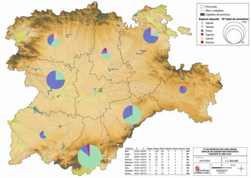 Los ataques del lobo al ganado en Castilla y León aumentan un 33% desde su protección, con 5.566 muertes en 2023