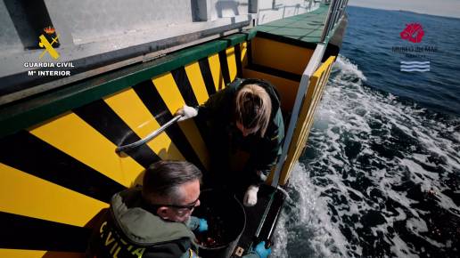 Denunciados cuatro hombres por pescar sin licencia más de 2.400 animales marinos en Santa Pola