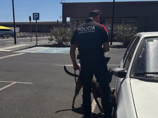 La Policía Canaria estrena Unidad Canina para la búsqueda de estupefacientes