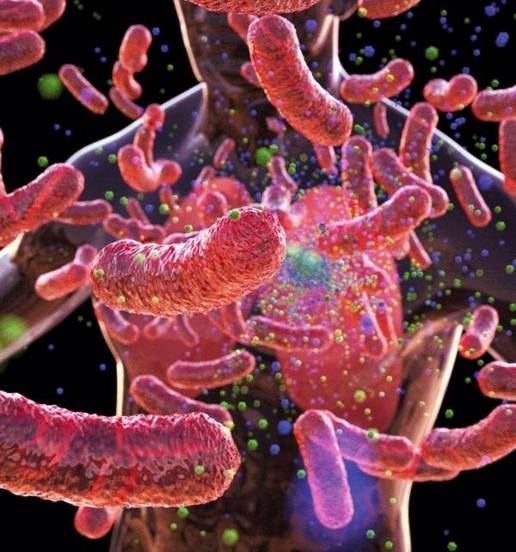 El ISCIII desarrolla un estudio sobre tuberculosis zoonótica basado en el enfoque 'One Health'