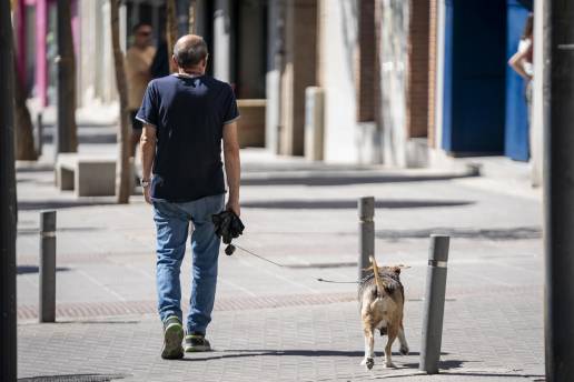 El Ayuntamiento de Vitoria interpone un total de cuatro multas por no recoger las heces de los perros en la vía pública