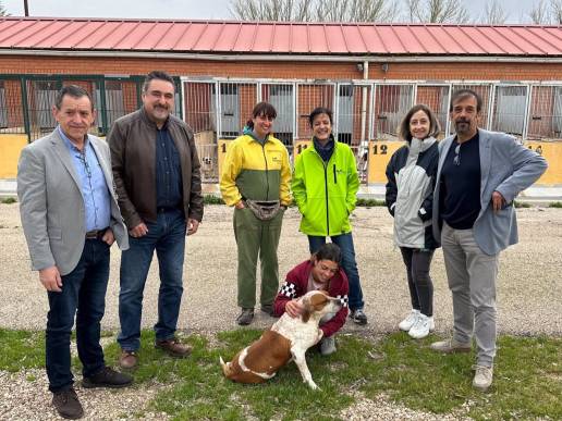 En marcha el proyecto para el control de colonias felinas en 28 municipios de la provincia de Cuenca de Diputación