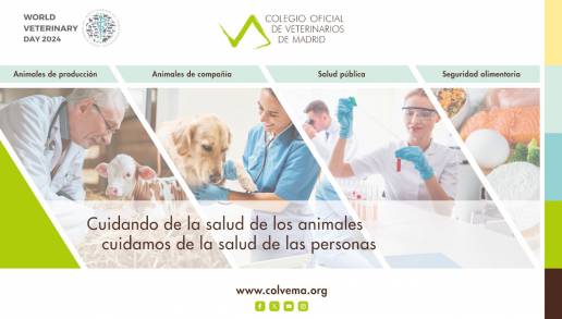Colvema reconoce y agradece el compromiso de los veterinarios en la promoción de la salud global 27 de abril #diamundialveterinario