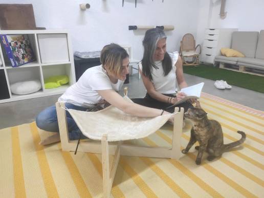 Nace Shanti, el primer espacio felino para compartir tiempo con gatos y concienciar sobre protección animal