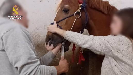  El Seprona investiga a un vecino de La Rioja por intrusismo profesional en veterinaria
