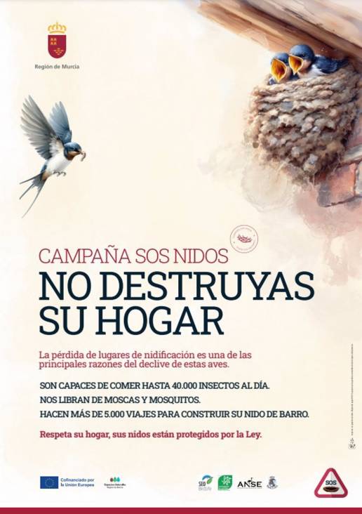 El Gobierno regional activa la campaña 'SOS Nidos' para proteger los hogares de las aves migratorias