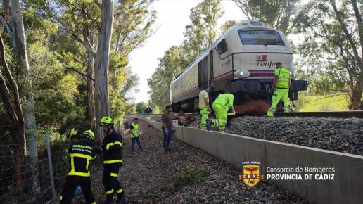 Un tren de pasajeros con destino a Madrid arrolla ocho vacas en Jimena