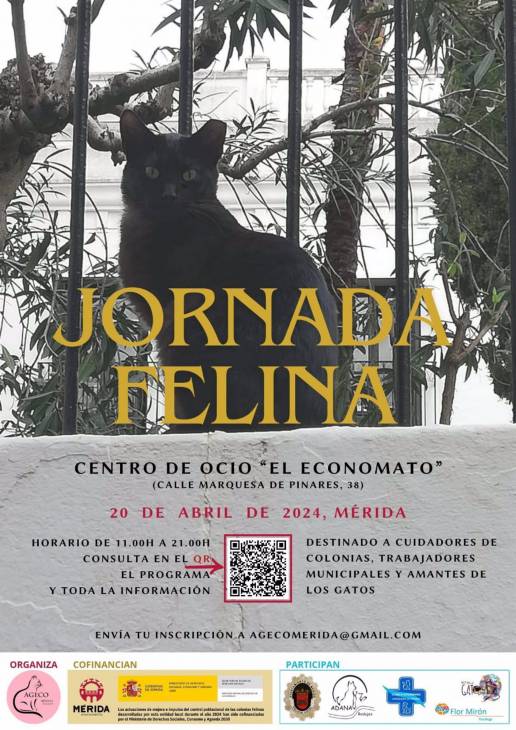 Una 'Jornada Felina' abordará este sábado en Mérida el bienestar de estas colonias a través de charlas y talleres