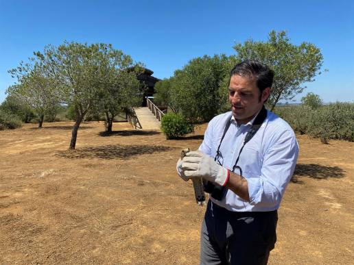 Sueltan en el Paraje Natural Marismas del Odiel (Huelva) un ejemplar de cernícalo vulgar recuperado en el CREA