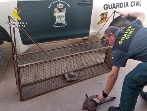 La Guardia Civil interviene trampas para cazar animales de forma ilegal en una finca de Montemolín