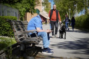 Las personas ciegas piden en Andalucía "no distraer" a los perros guías con alimentos
