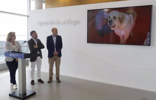 La Diputación apoya la Feria del Perro de Archidona que se celebra del 3 al 5 de mayo