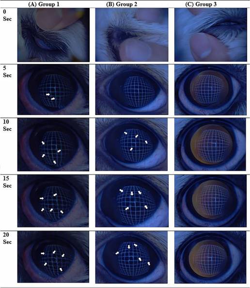 Un método novedoso para evaluar el tiempo de ruptura de la película lagrimal no invasiva y la progresión de la opacificación de la córnea en perros utilizando imágenes de vídeo