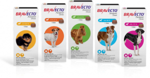 Un estudio demuestra que la administración oral de BRAVECTO® (fluralaner) masticable durante 12 semanas elimina el 100% de las garrapatas en los perros tratados