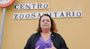 El PSOE dice que el zoosanitario "se queda sin recogida de animales por las tardes y sin clínica de urgencias"