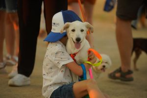  El municipio conmemora el Día del Perro sin raza con una carrera no competitiva en compañía de mascotas
