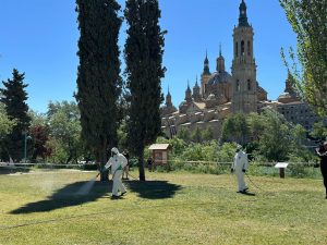 Comienzan los tratamientos preventivos contra la garrapata en parques y áreas caninas de la ciudad de Zaragoza 