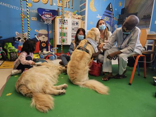 El 12 de Octubre extiende las intervenciones asistidas con perros a niños con tumores cerebrales para su recuperación