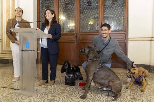 El Ayuntamiento de A Coruña permitirá la presencia de perros sin correa en las playas en determinadas épocas del año