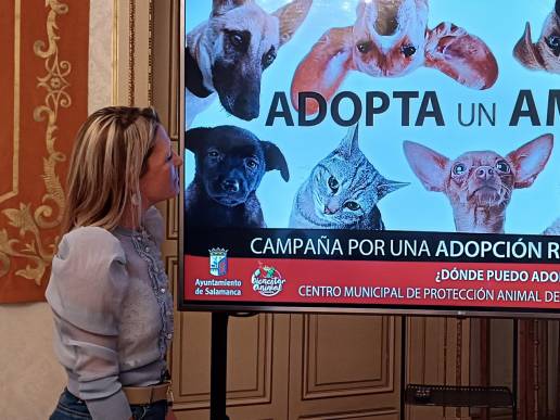 El Ayuntamiento de Salamanca estudia implantar sanciones a dueños de perros que no apliquen agua jabonosa sobre orines