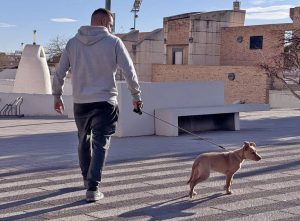 Paterna arranca una campaña para censar al 100% de los perros de la ciudad