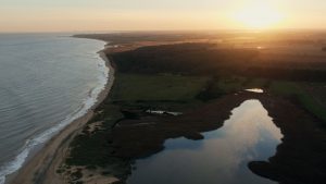 La nueva serie del World Ocean Council “Blue Horizons” destaca el compromiso de Purina en el avance de la regeneración de los ecosistemas del suelo y los océanos