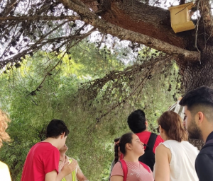El Ayuntamiento coloca cajas nido en el Parque del Seminario para proteger a las ardillas