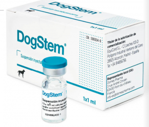 DogStem® el primer y único medicamento con células madre para la osteoartrosis canina