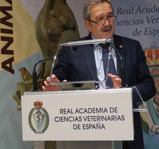 Conferencia Ilmo. Sr. D. José María de Torres Medina 