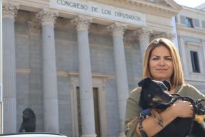 PACMA propone pirotecnia silenciosa para proteger a los animales de "violencia acústica" en San Juan y fiesta de verano