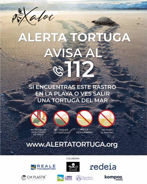 Arranca la campaña ¡Alerta Tortuga! en las playas valencianas para protegerlas de máquinas, bañistas y animales