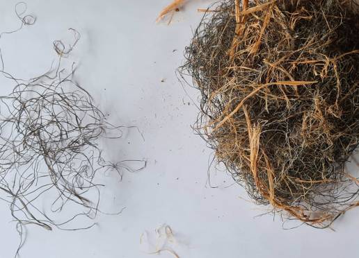 Un estudio de la UV en aves de espacios agrícolas demuestra que más del 70% de sus nidos contienen residuos plásticos