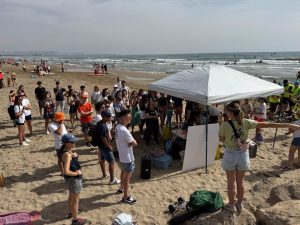 Más de 200 personas limpian la playa de la Malva-rosa para proteger a tortugas en su temporada de anidación