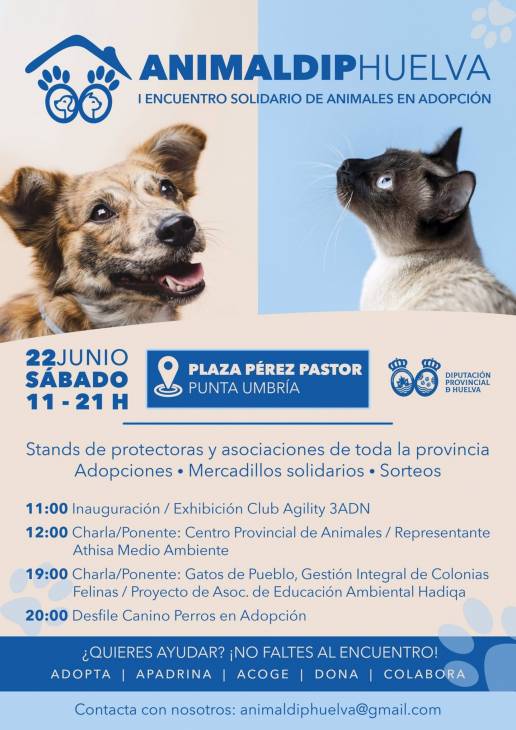  Punta Umbría acoge este sábado el I Encuentro solidario de animales en adopción de Diputación
