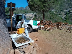 La Junta destina cerca de 30.000 euros al bienestar de los animales de la reserva de Ojén